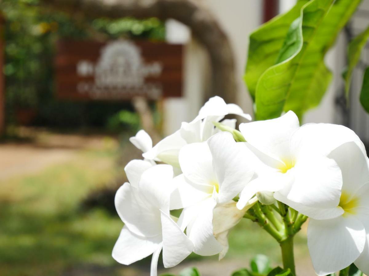 ไฮดะเวย์ ลอดจ์ Villa แทนกาลเล ภายนอก รูปภาพ